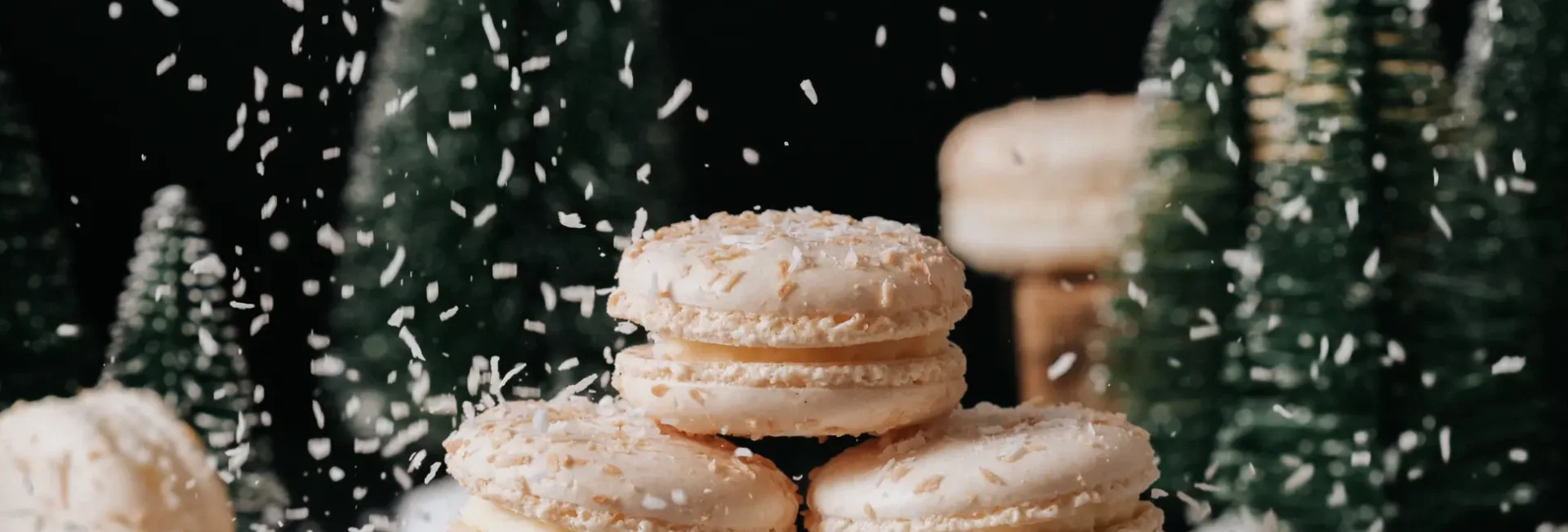 macarons belgique bruxelles 3